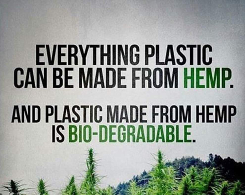 Hemp Body Oil