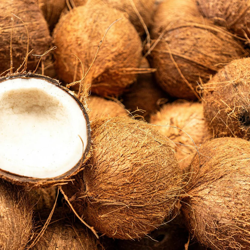 Bonbodi Berry Bliss Luminous Coconut Oil