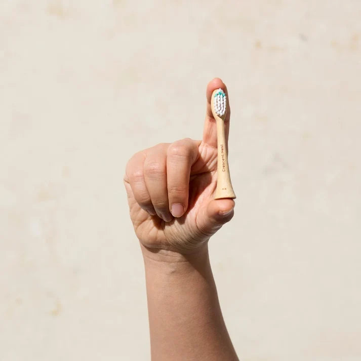 Crescent Nest Replacement Brush Heads for Eco Sonic Toothbrush