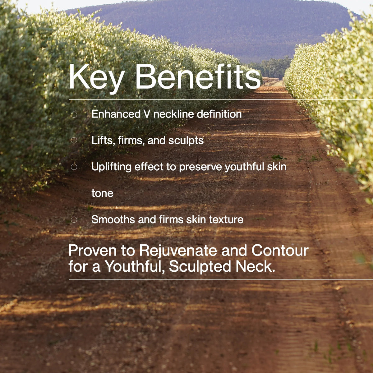 The Jojoba Company Neck & Décolletage Lifting Concentrate